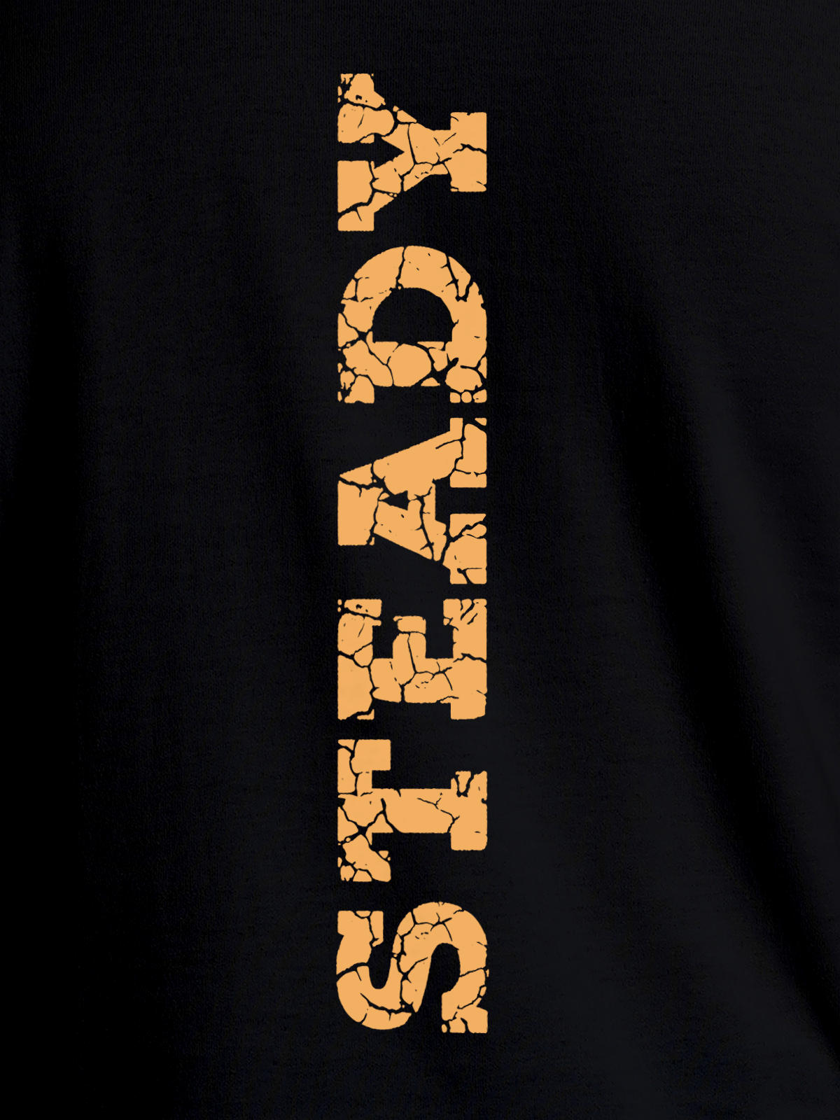 Close up of 'Steady' design on Men's Black Round Neck T-shirt, highlighting intricate details and vibrant print.