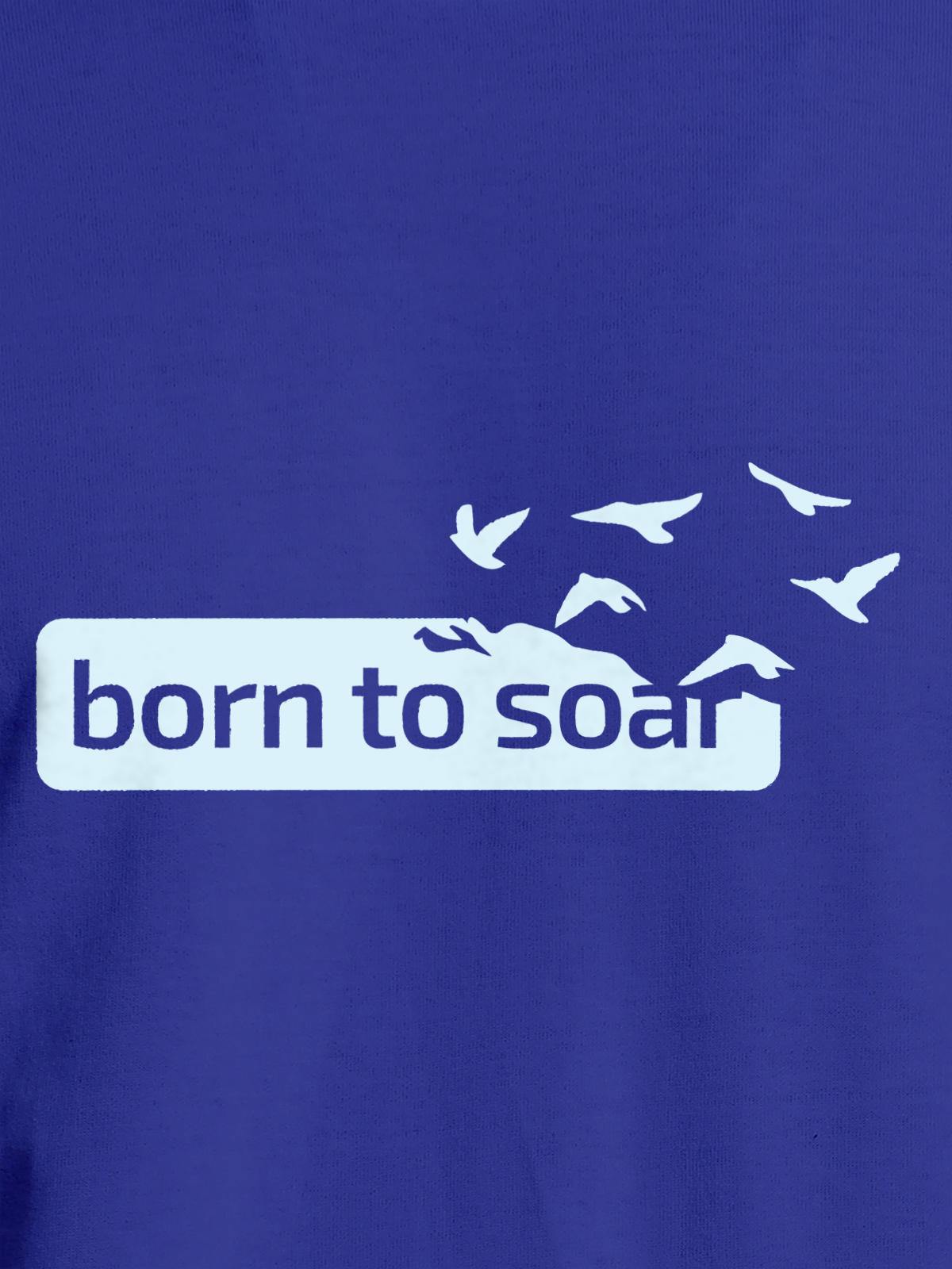 Close up of 'Born To Soar' design on Men's Blue Round Neck T-shirt, highlighting intricate details and vibrant print.