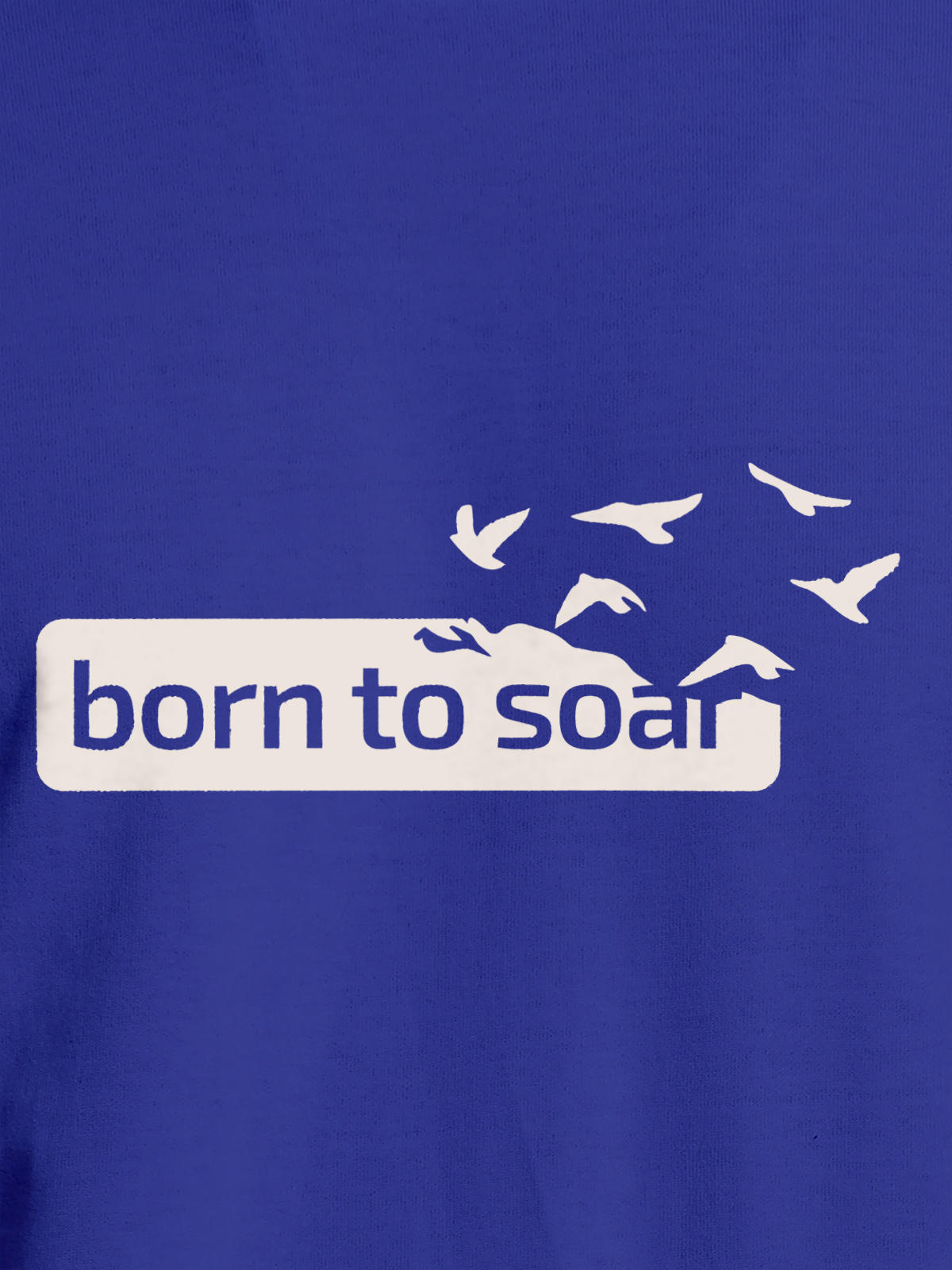 Close up of 'Born To Soar' design on Men's Blue Round Neck T-shirt, highlighting intricate details and vibrant print.