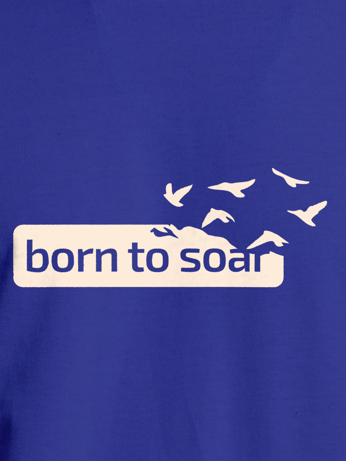 Close up of 'Born To Soar' design on Men's Blue Round Neck T-shirt, highlighting intricate details and vibrant print.