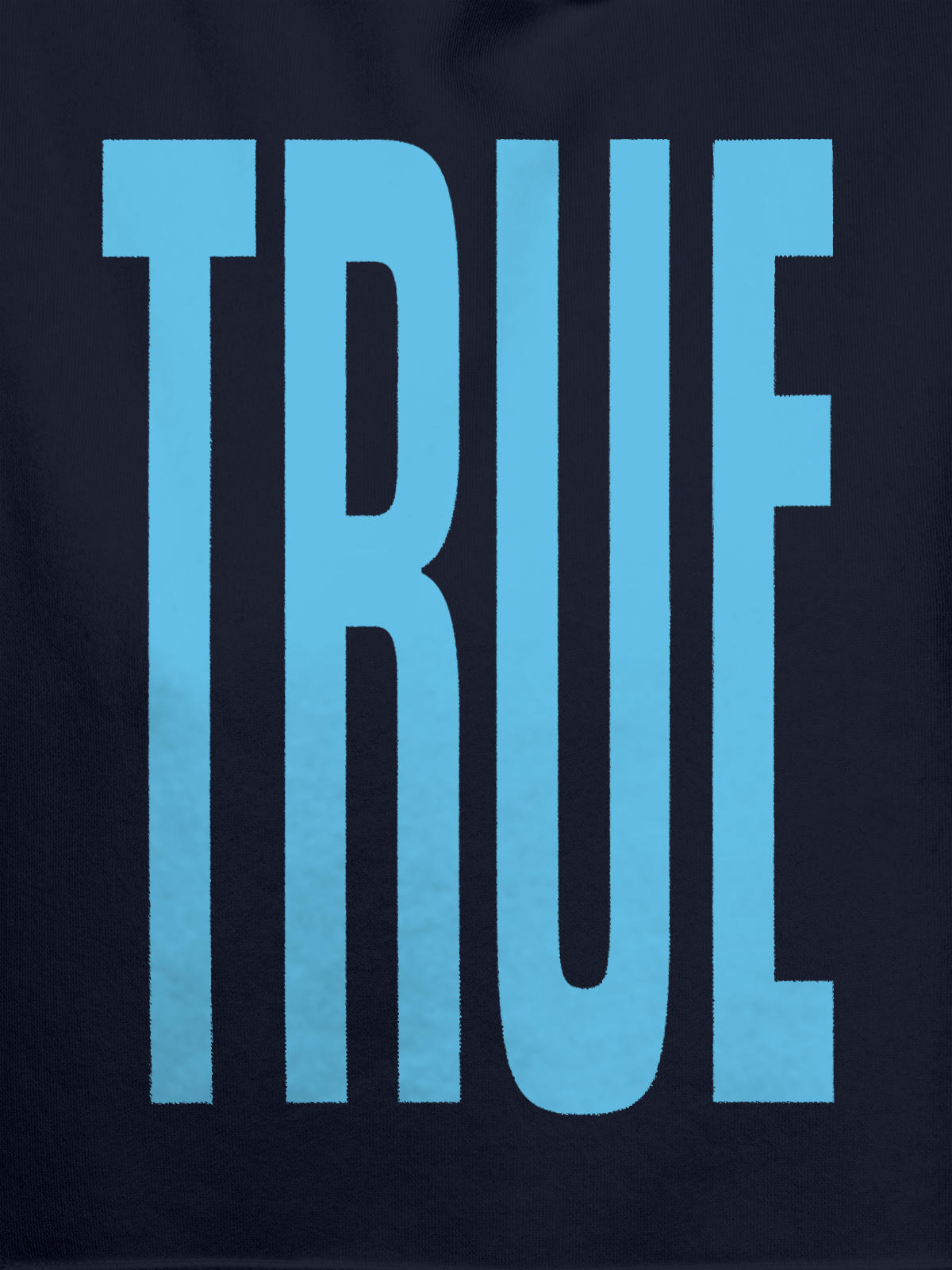 Close up of 'Truth' design on Men's Navy Blue Hoodie Sweatshirt, highlighting intricate details and vibrant print.