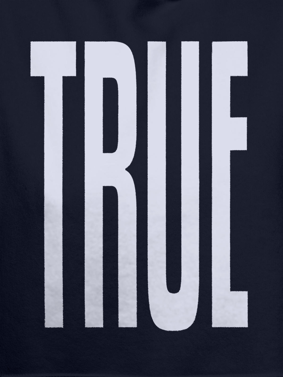Close up of 'Truth' design on Men's Navy Blue Hoodie Sweatshirt, highlighting intricate details and vibrant print.