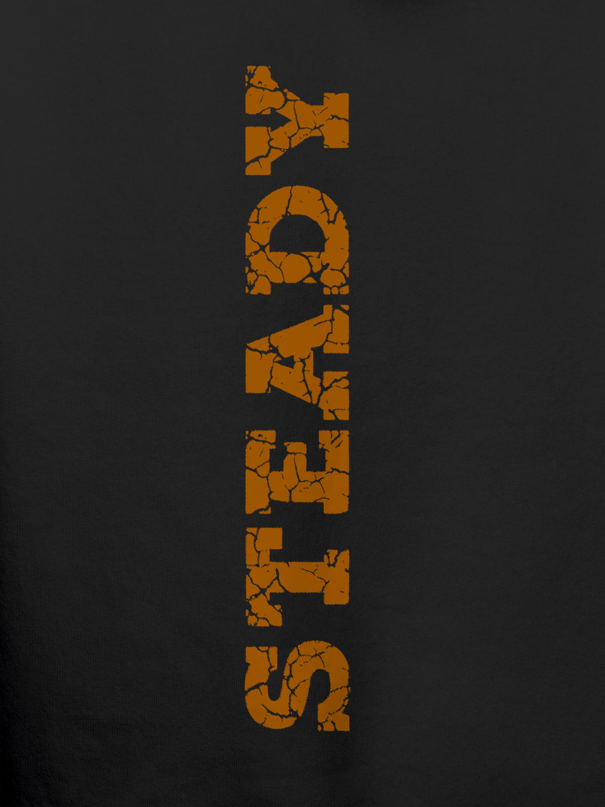 Close up of 'Steady' design on Men's Dark Grey Hoodie Sweatshirt, highlighting intricate details and vibrant print.
