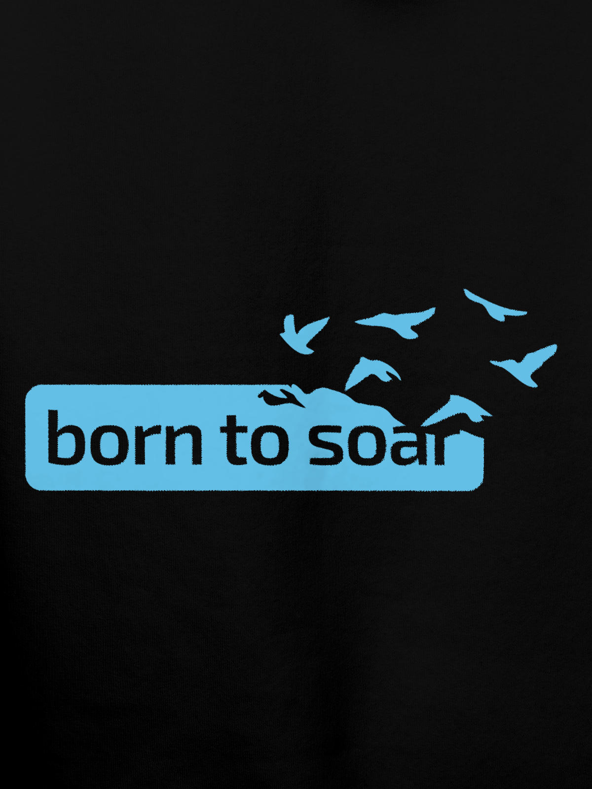 Close up of 'Born To Soar' design on Men's Black Hoodie Sweatshirt, highlighting intricate details and vibrant print.