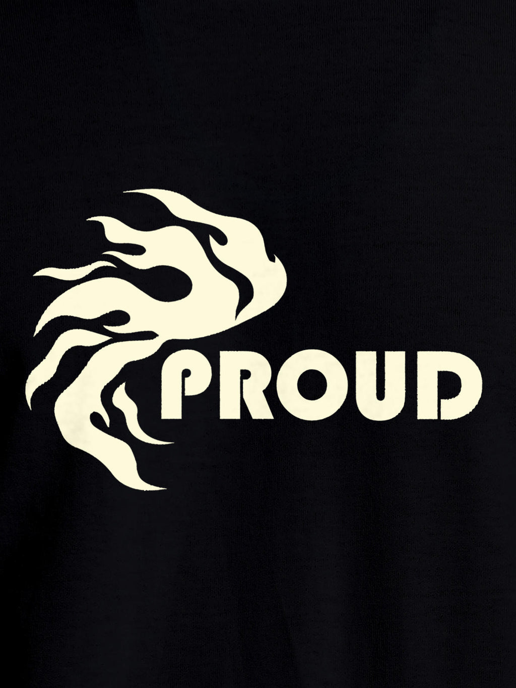 Close up of 'Proud' design on Men's Black Round Neck T-shirt, highlighting intricate details and vibrant print.