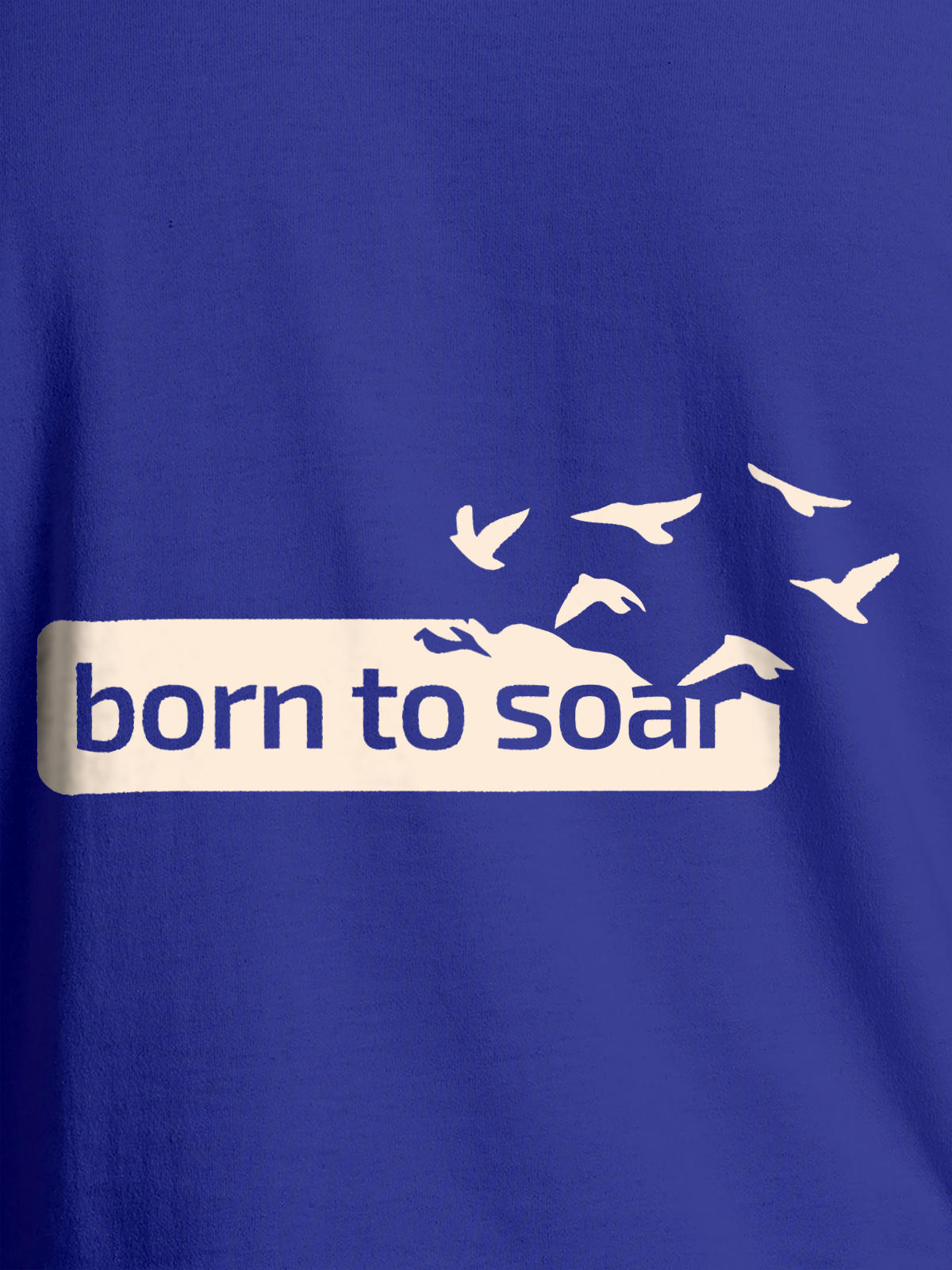 Close up of 'Born To Soar' design on Women's Blue Round Neck T-shirt, highlighting intricate details and vibrant print.