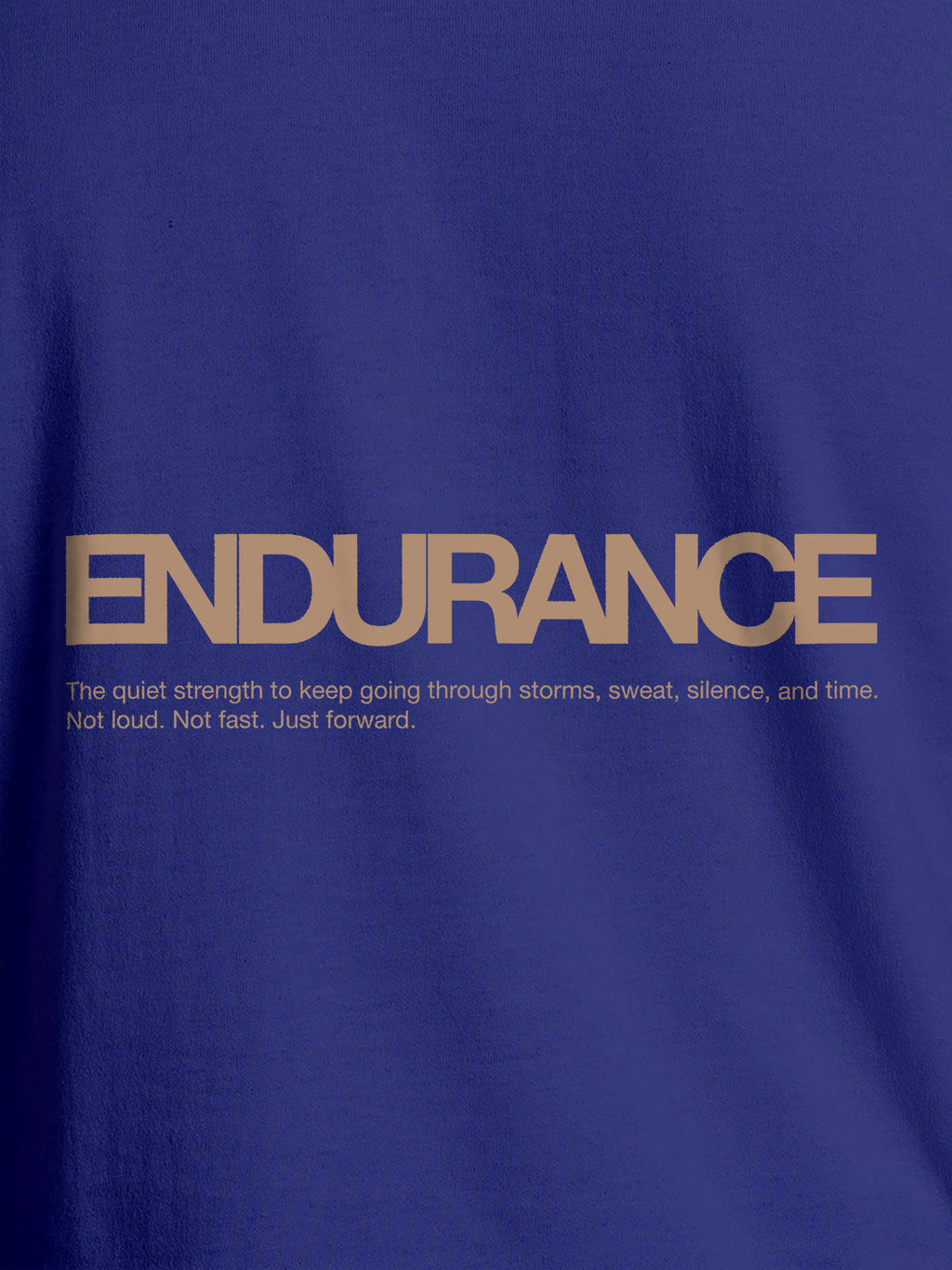 Close up of 'Endurance' design on Men's Blue Round Neck T-shirt, highlighting intricate details and vibrant print.