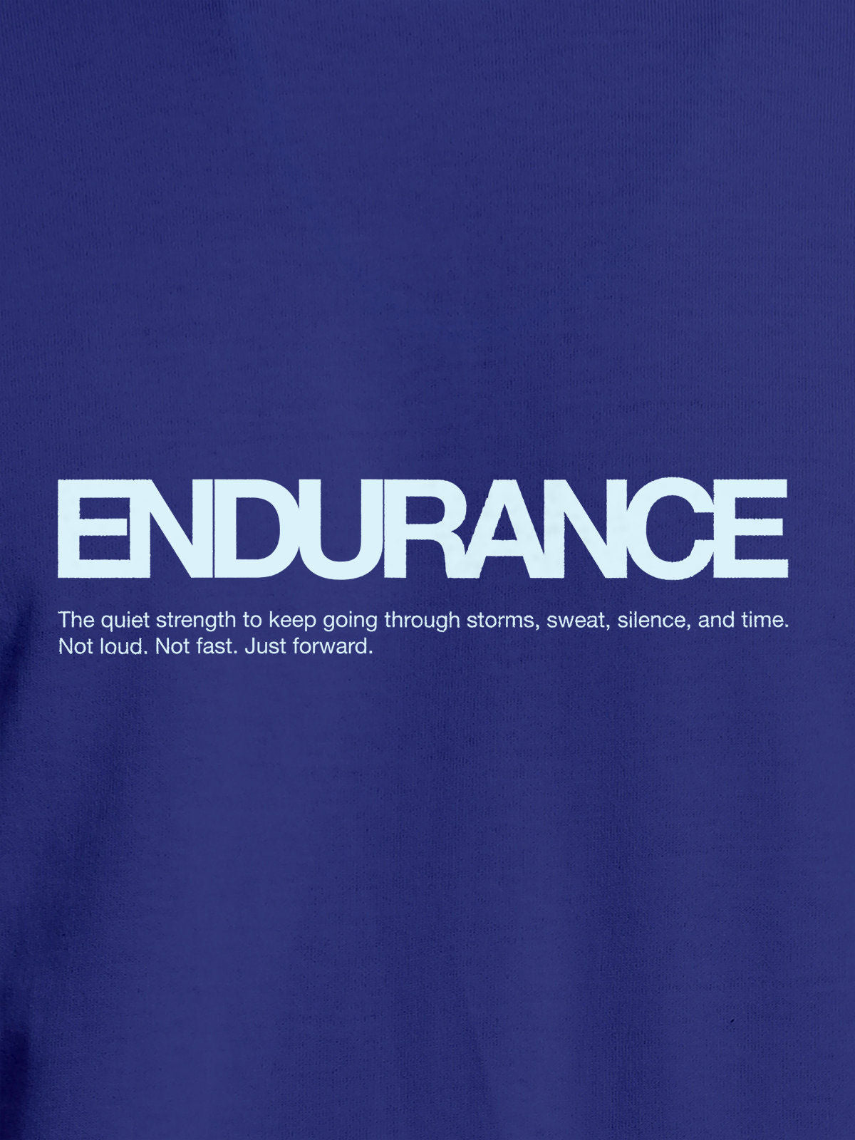 Close up of 'Endurance' design on Women's Blue Round Neck T-shirt, highlighting intricate details and vibrant print.