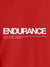 Close up of 'Endurance' design on Women's Red Round Neck T-shirt, highlighting intricate details and vibrant print.