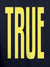 Close up of 'Truth' design on Women's Navy Blue Hoodie Sweatshirt, highlighting intricate details and vibrant print.