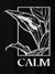 Close up of 'Calm' design on Women's Black Polo T-shirt, highlighting intricate details and vibrant print.