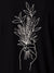 Close up of 'Love and Joy' design on Men's Black Polo T-shirt, highlighting intricate details and vibrant print.